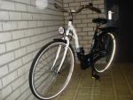 nieuwe stads fiets dames